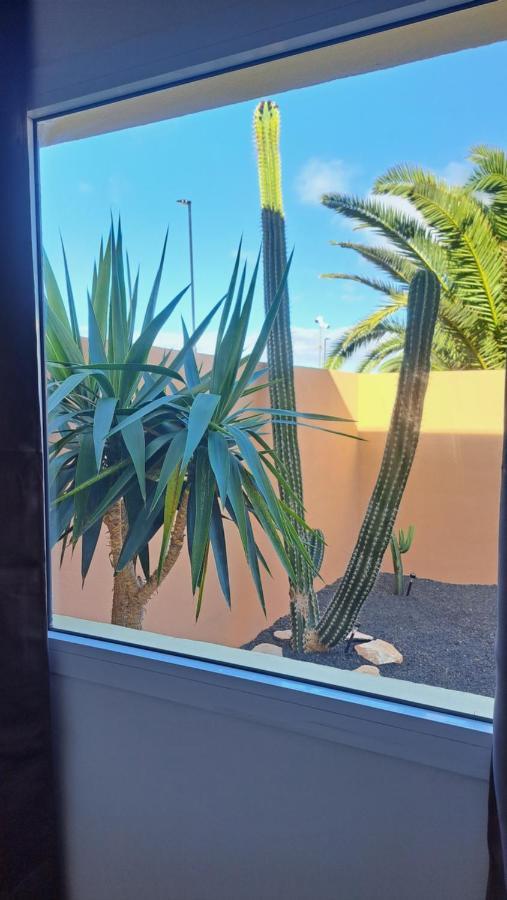 Casa Amigos Fuerteventura *